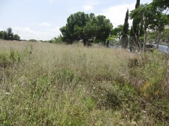 Venta de parcela en Campolivar — 2