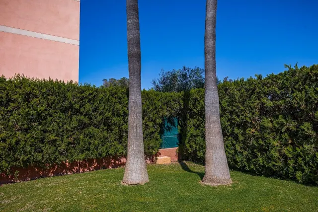 PLANTA BAJA  RESIDENCIAL EN LAS PALMERAS — 26