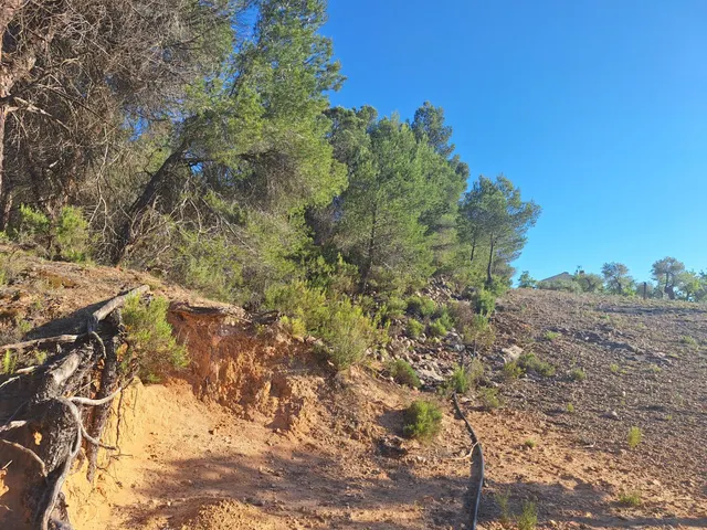 Terreno rústico a solo 3 km de Biar | Posibilidad de construir vivienda y conectar a agua y electricidad — 10