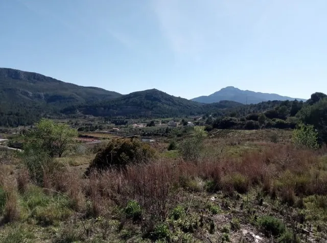 RUGAT (VALENCIA) - 3 PARCELAS - SE VENDE — 4
