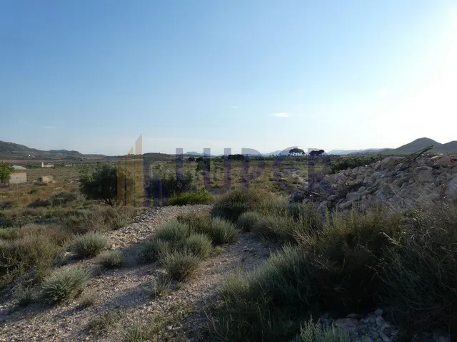 Terreno Rústico en venta - AGOST