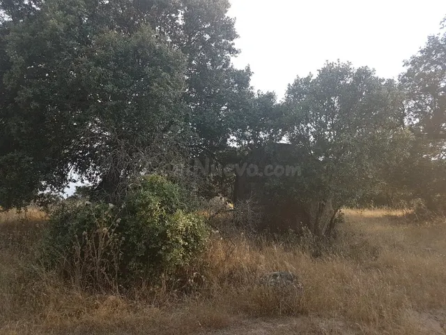 Terreno rural en venta - Alrededores - foto 2