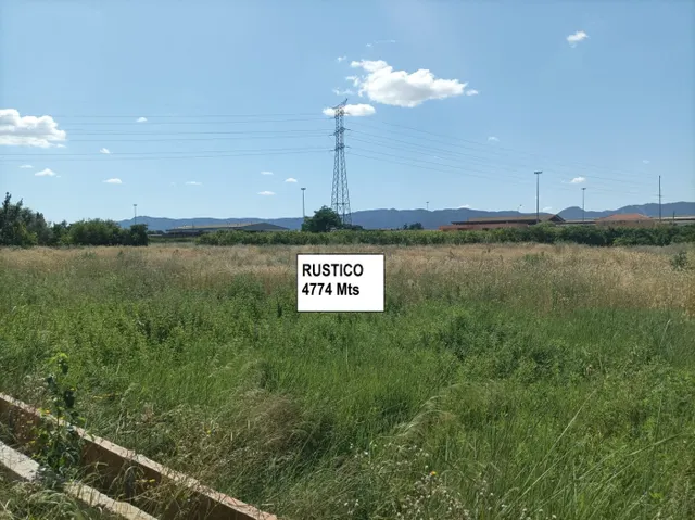 PARCELA RUSTICA PROXIMA ALCANTARILLA - foto 4