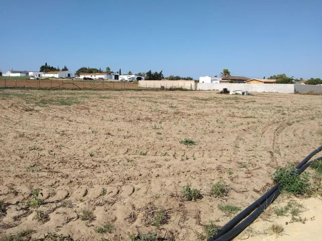 PARCELA INDIVISA DE 3.000M2 EN PAGO DE HUMO - foto 4