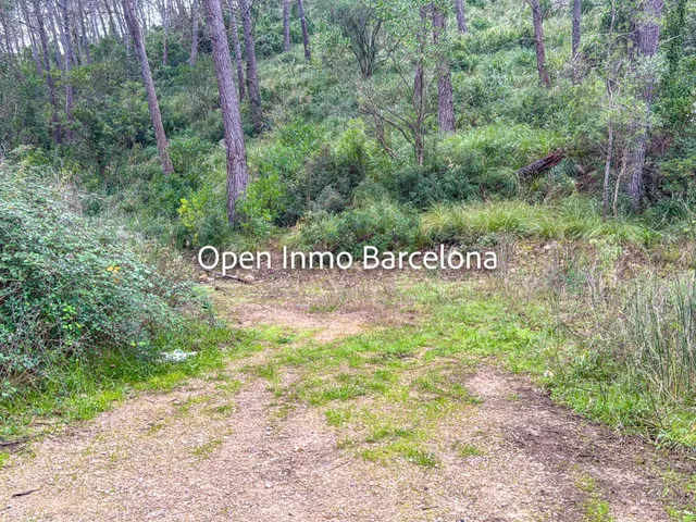 Parcela en venta - Can Pere de la Plana - Pineda Park - foto 5