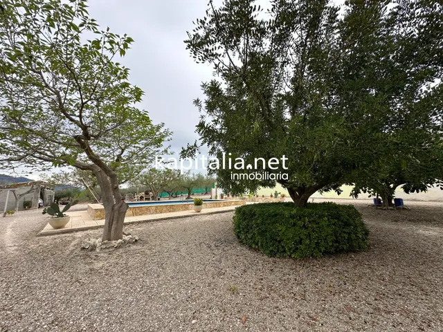 Chalet a la venta en Cocentaina, Alicante. — 45