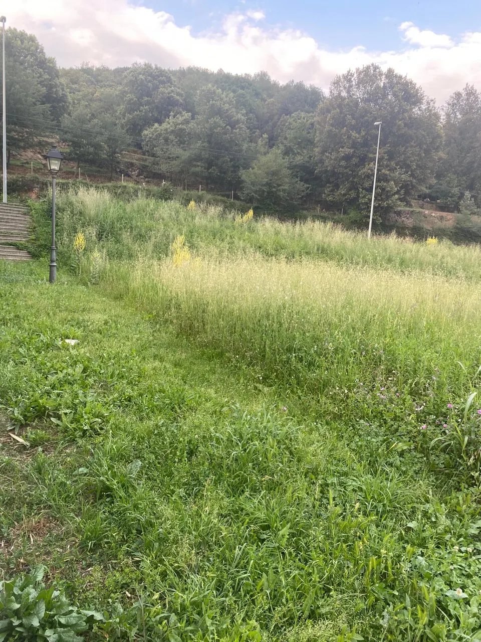 TERRENO EN VENDA