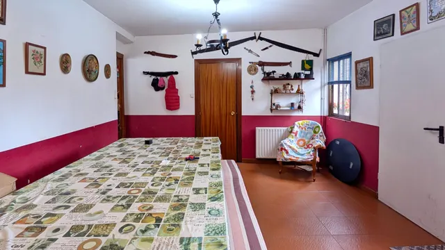VIVIENDA Y NEGOCIO EN PIELAGOS — 29