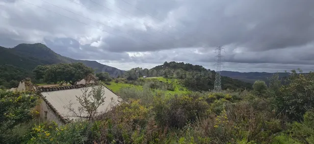 Terreno para construir en Alhaurín el Grande con vistas al m - foto 4