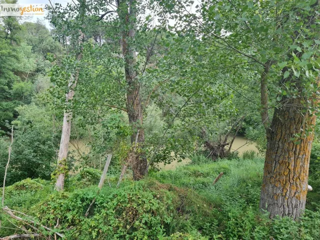 SE VENDE TERRENOS RUSTICOS EN TUDELA DE DUERO - foto 2