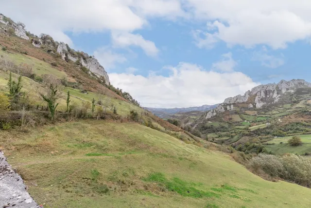 TERRENO Y CABAÑA EN VENTA EN PELUGANO ( PEÑAMEA LAVIANA) - foto 5