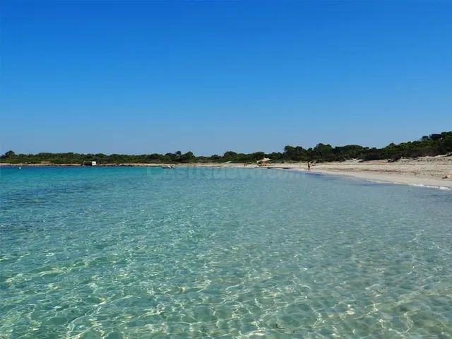 Apartamento en Venta en Salines, ses Baleares - foto 5