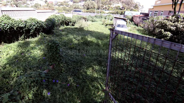 PROYECTA LA CASA DE TU SUEÑOS EN LA CARRETERA DEL CAMPO DE G - foto 5