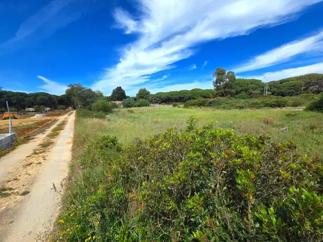 PARCELA EN VENTA EN CAMPANO - 2.625 M2 SEGREGADA A PIE DE CA - foto 5