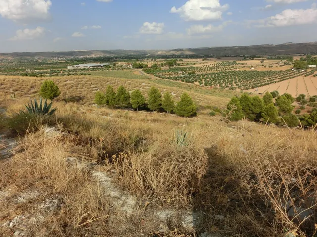 FINCA EN URBANIZACION VALGRANDE — 12