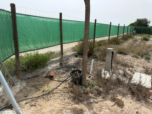 Terreno rústico en venta – La Hoya (Elche), con proyecto bás - foto 4