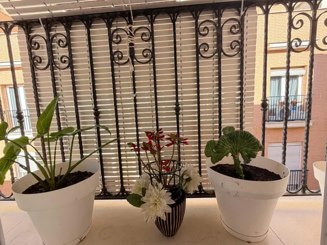 Piso en venta en casco antiguo — 6
