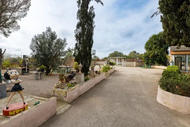 Casa en Llucmajor con amplios espacios y buena conectividad - foto 4