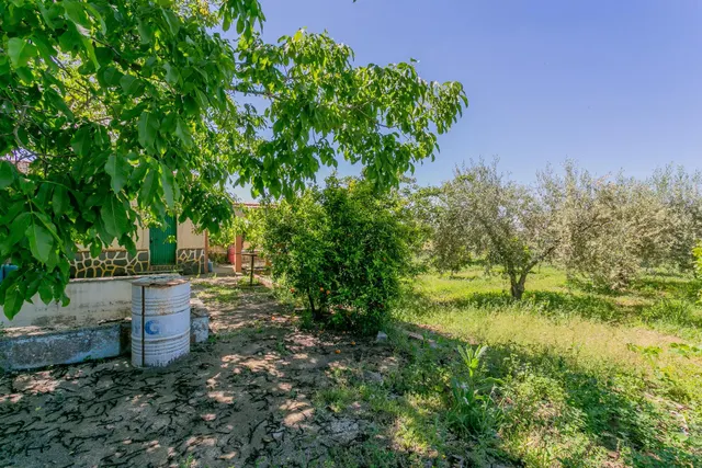 "¡Vive la vida en el campo! Terreno con casa de aperos y cultivos de olivos y frutales en ve — 14