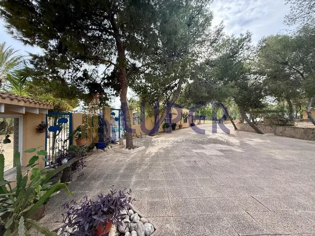 ✨ Una finca única para quienes buscan mucho más que una vivienda, en Alicante Tangel. — 33