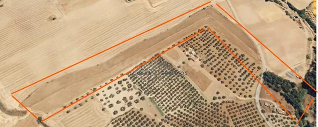 Terreno agrario 1 Hectarea — 5