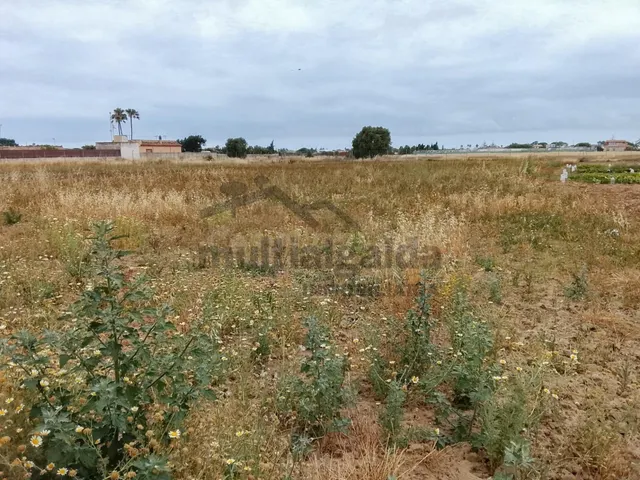 TERRENO RÚSTICO EN LA ZONA DE LA REYERTA
