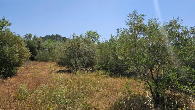VENTA DE 3 PARCELAS AGRUPADAS CON POSIBILIDAD DE CONSTRUIR UNA VIVIENDA UNIFAMILIAR !! — 9