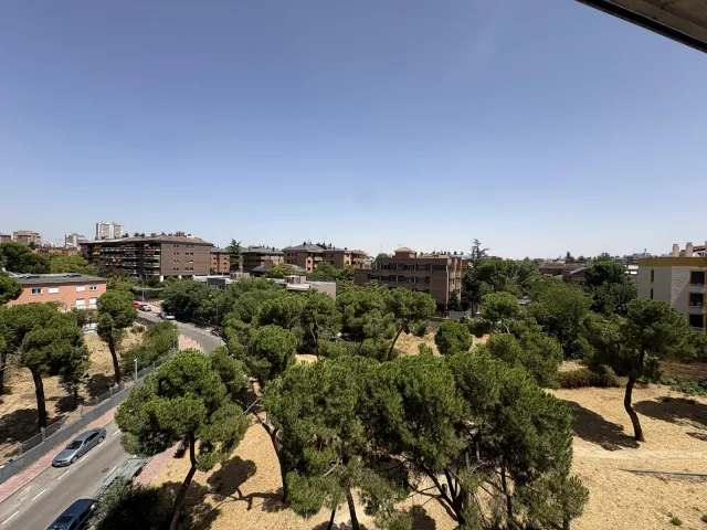 Espectacular ático dúplex — 38