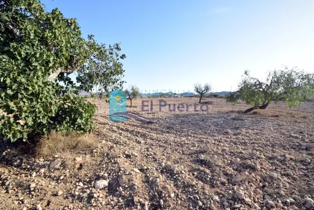 TERRENO en venta - foto 5