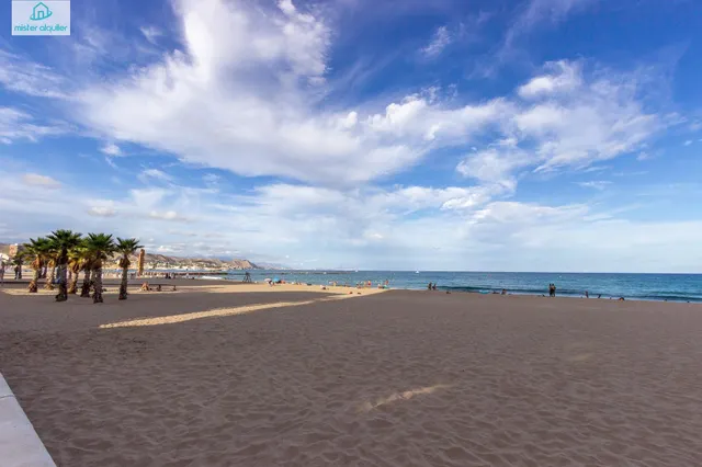 PRIMERA LINEA DE MAR MUY LUMINOSO Y ESPACIOSO PROFESORES EST - foto 4