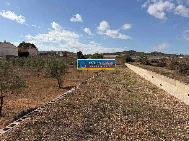 CASA REFORMADA CON TERRENO RÚSTICO DE 3.000 M2 EN ÚBEDA – PINOSO — 36