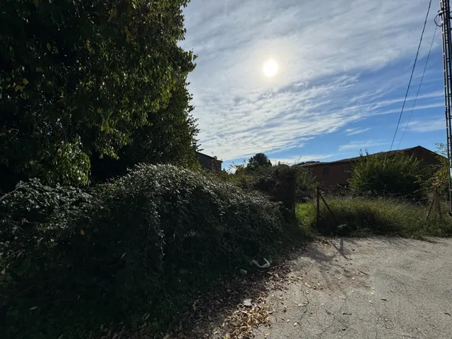el carrascal — 11