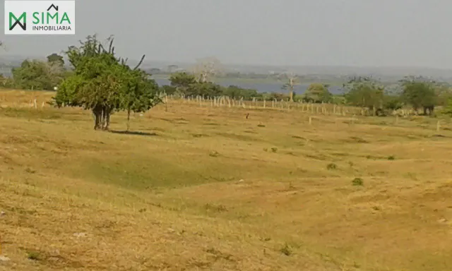 SE VENDE FINCA GANADERA EN EL MUNICIPIO DE MAHATES BOLIVAR — 13