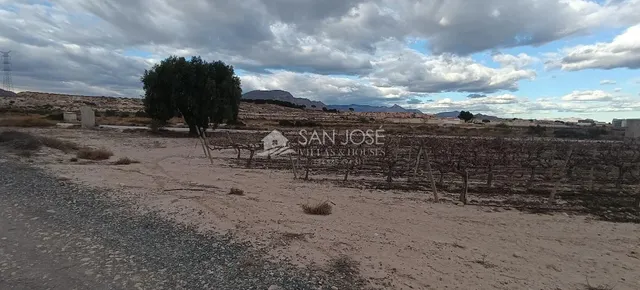 SE VENDE PARCELA EN MONFORTE DEL CID — 8