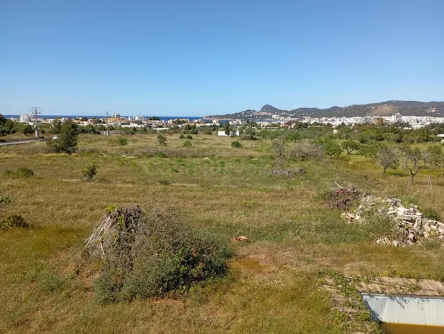 VENDEMOS CHALET CON TERRENO EN SAN AGUSTÍN - foto 4
