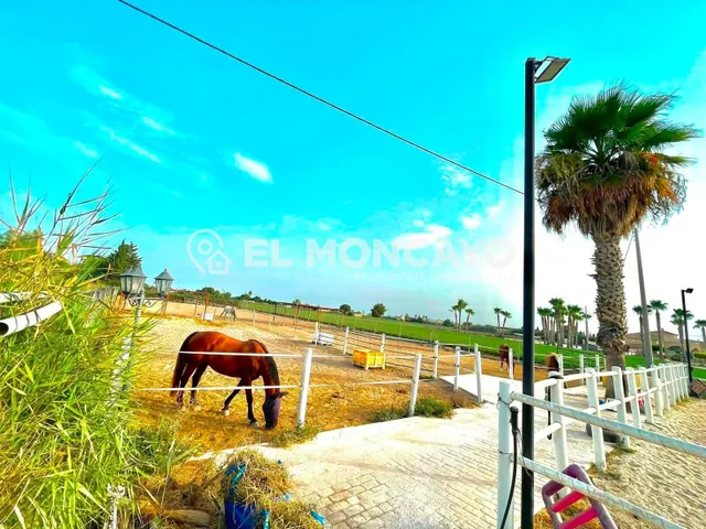 Fantástica finca rústica con piscina privada e instalaciones para caballos junto al Parc Natural del Fond en Dolores, Alicante — 13