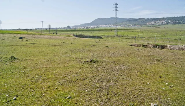 PARCELA 30.000 m2 EN SIERRA DE FUENTES - foto 4