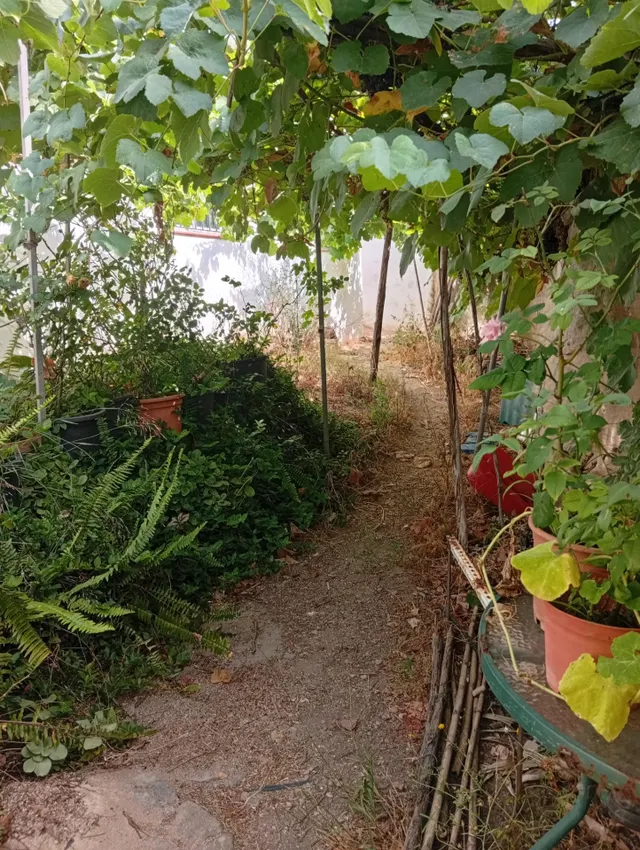 ¡Gran oportunidad en La Villa! Solar urbano de 1600 m2 en Ayamonte — 7