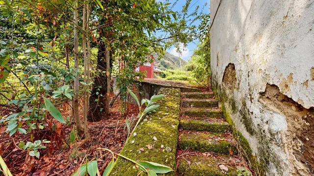 Finca con casa tradicional canaria y terreno de más de 12.000 m2 en Valsendero – Valleseco — 16