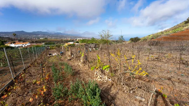 Terreno urbano en Tacoronte. — 35