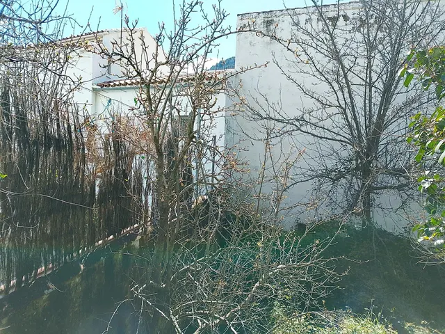 Finca ideal para construir tu casa. — 10
