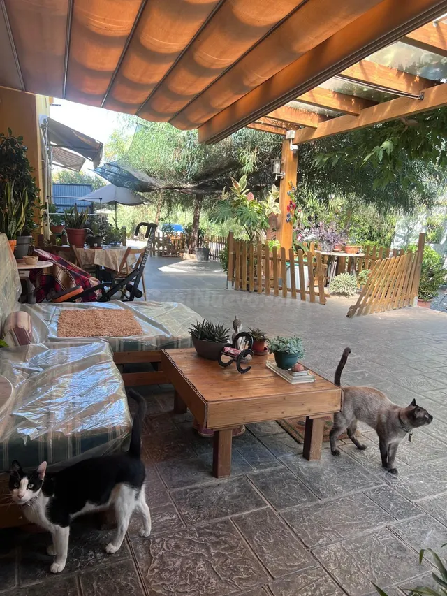 Finca en Reus con vivienda urbana. - foto 5