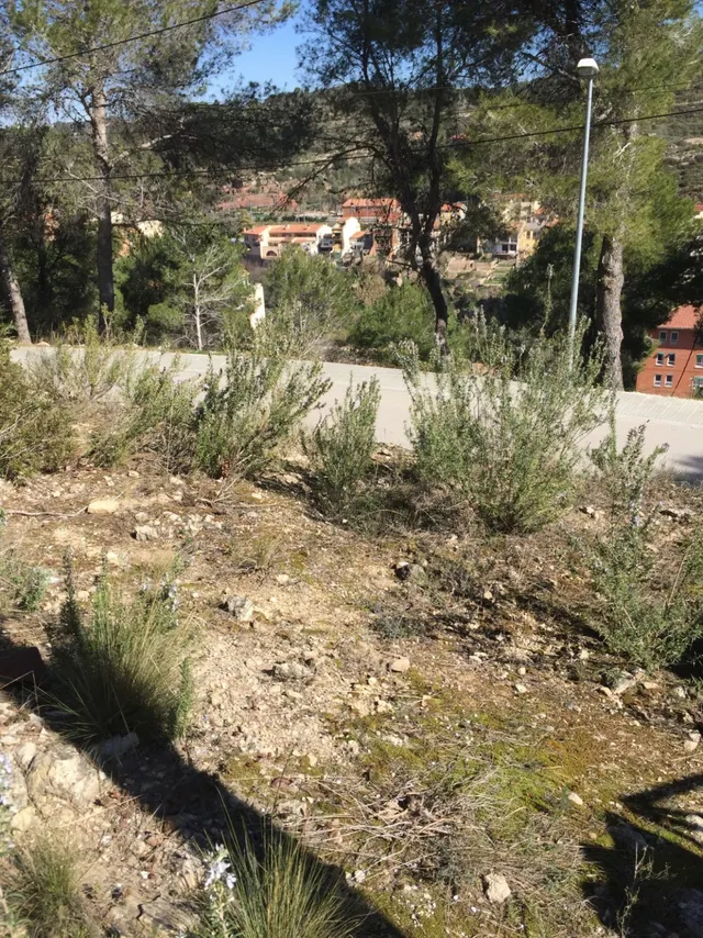 PARCELA EN VENTA EN MONISTROL DE MONTSERRAT — 7