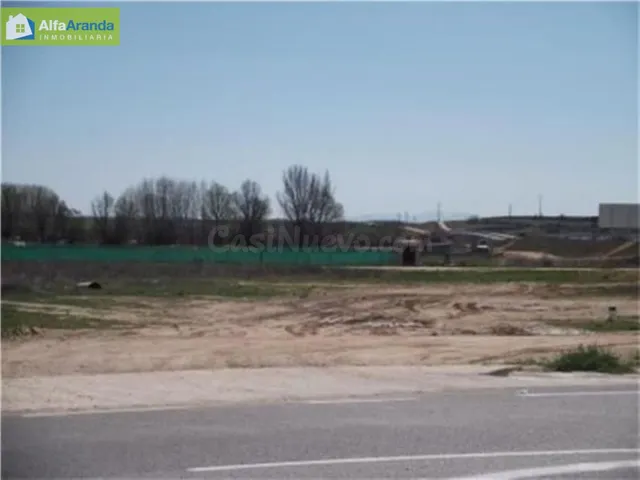 Finca rústica 3570m² en venta - Sinovas - foto 2