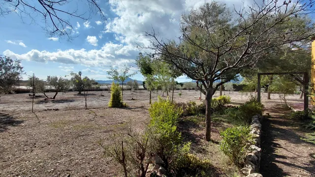 Casa de campo con parcela vallada, pinada, zona de olivos y  - foto 2