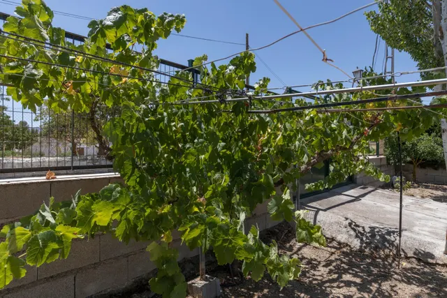 Terreno urbano en la aldea de los Bermejales, termino de Arenas del Rey — 16