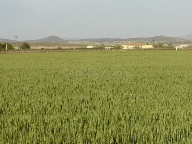 Parcela en venta - Ayuntamiento - foto 2