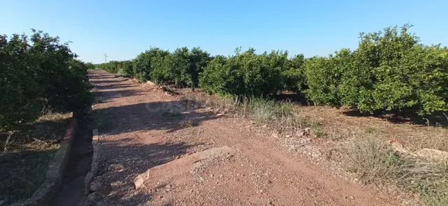 Terreno rural en venta - Nules - foto 3
