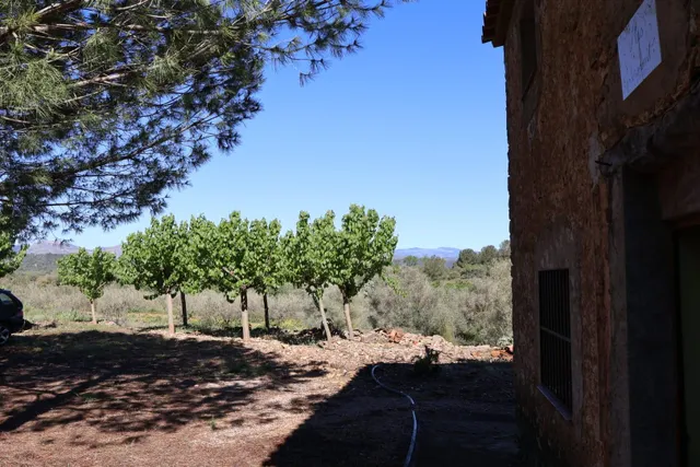 MASIA EN VILAFAMES CON TERRENO — 25