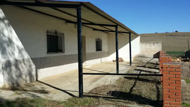 FINCA RÚSTICA ENTRE BELMEZ Y PEÑARROYA-PUEBLONUEVO — 4
